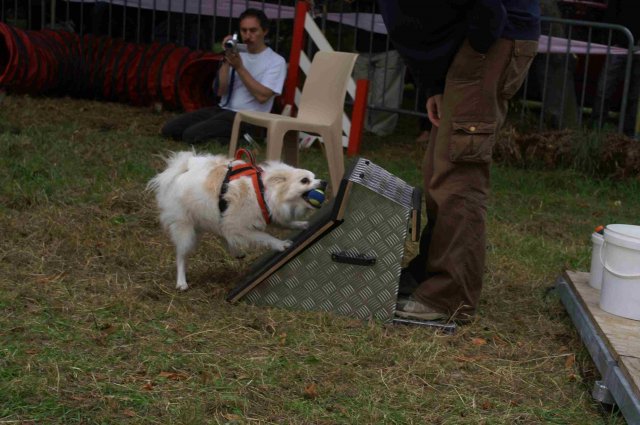 foire-haricots 2011-09-17et18